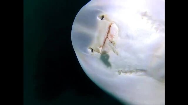 Видео порнуха #174304