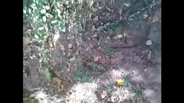 Видео порнуха #159837