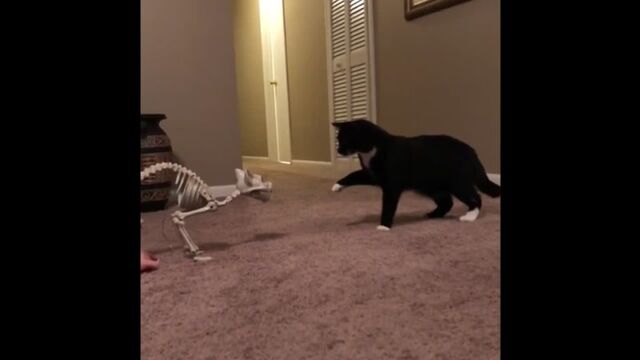 Видео порнуха #102203