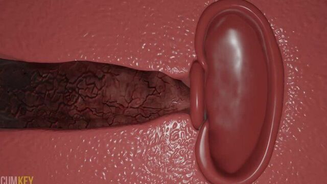 Видео порнуха #247806