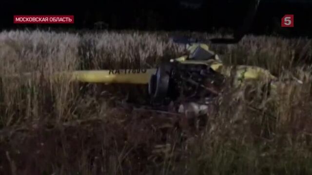 Видео порнуха #45069