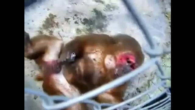 Видео порнуха #167672