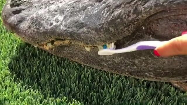 Видео порнуха #108215