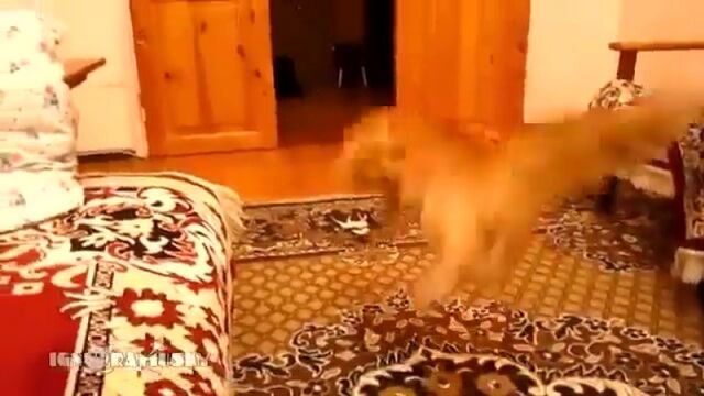 Видео порнуха #158148