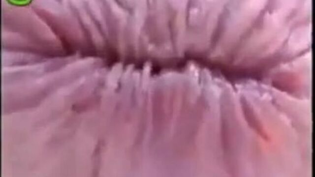 Видео порнуха #3330