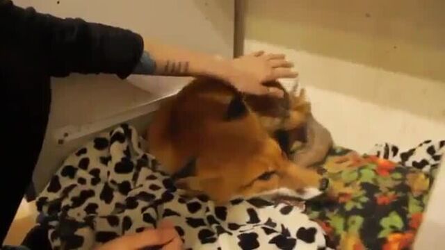 Видео порнуха #41964