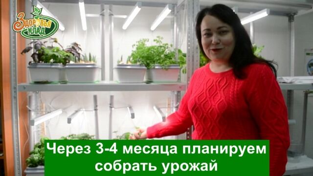 Видео порнуха #182350