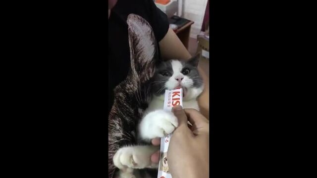 Видео порнуха #85780