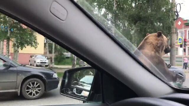 Видео порнуха #27584