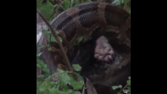 Видео порнуха #115277