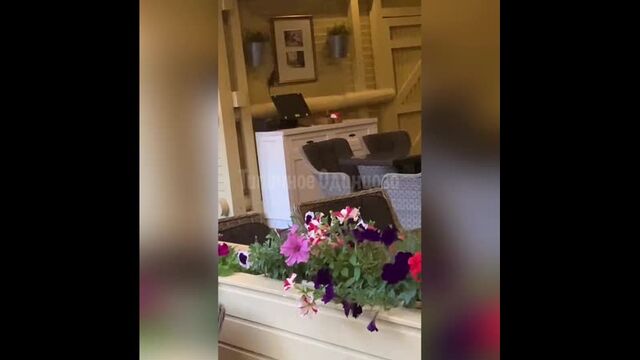 Видео порнуха #44783