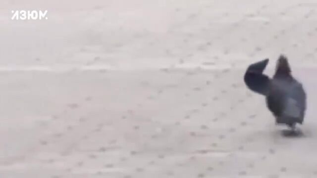 Видео порнуха #134953