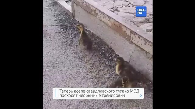 Видео порнуха #199610