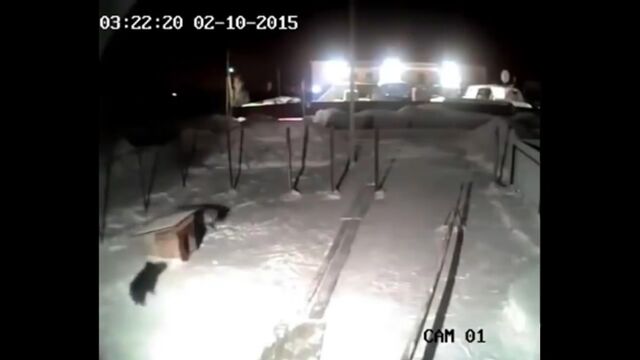 Видео порнуха #140426