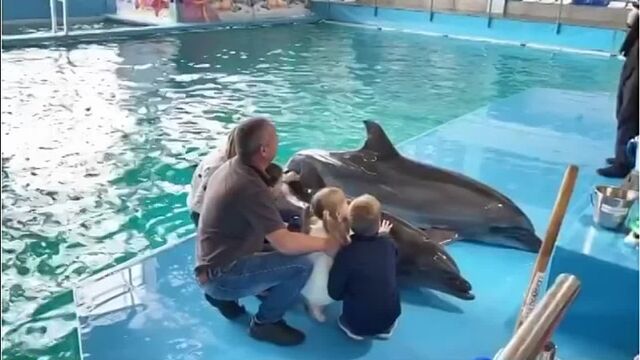 Видео порнуха #109581