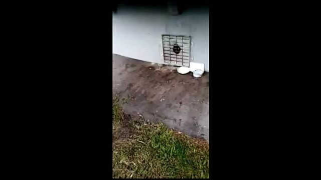 Видео порнуха #113326