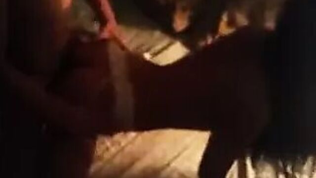 Видео порнуха #43993