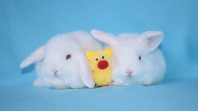 Видео порнуха #41671