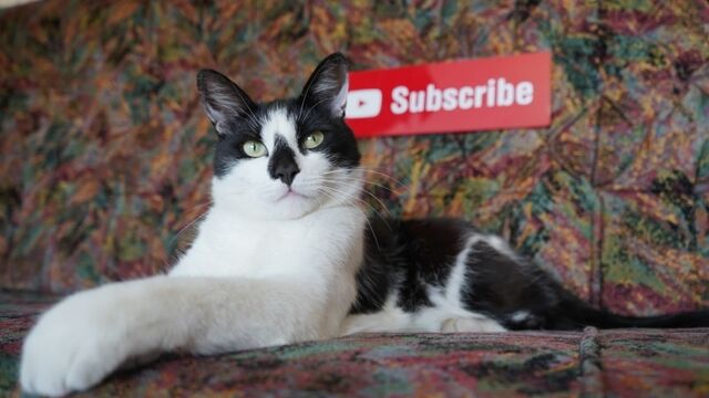 Видео порнуха #134090