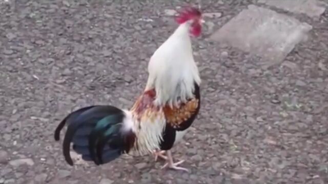 Видео порнуха #115020