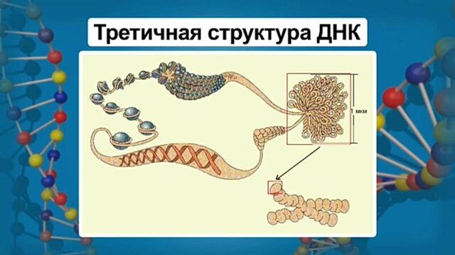 Видео порнуха #9558