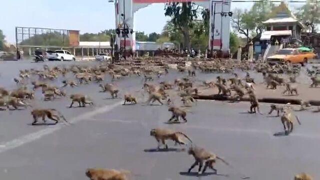 Видео порнуха #55458