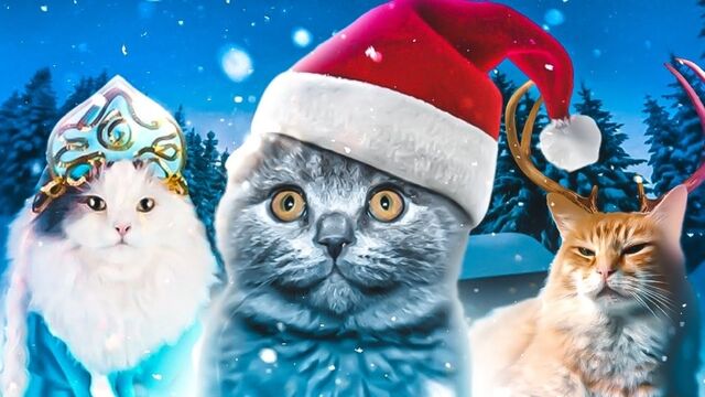 Видео порнуха #146687