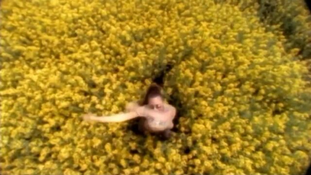 Видео порнуха #176910