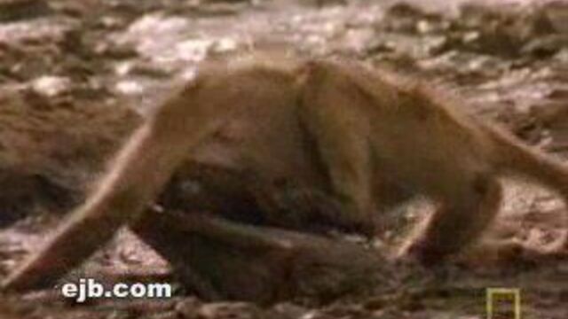 Видео порнуха #851