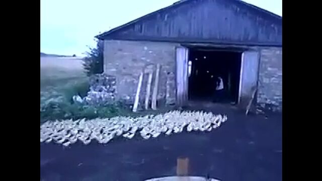 Видео порнуха #9245