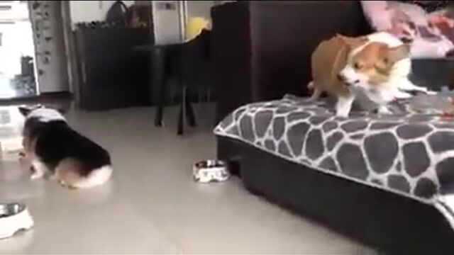 Видео порнуха #151296