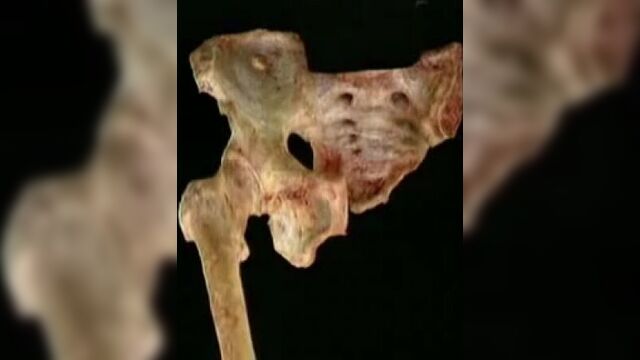 Видео порнуха #13981