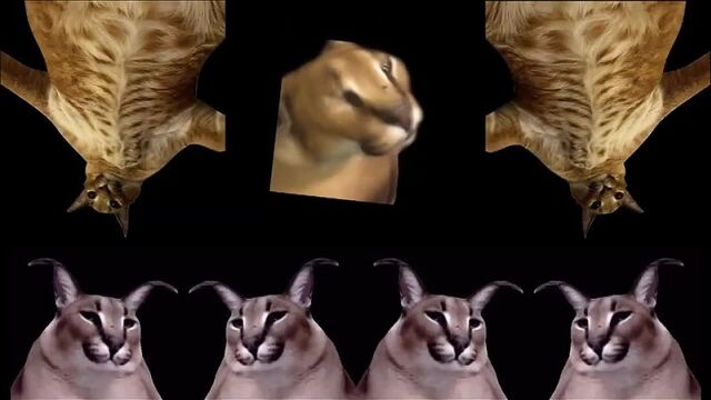 Видео порнуха #161532