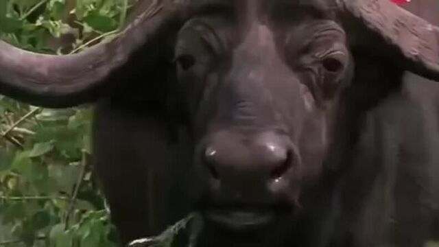 Видео порнуха #38955