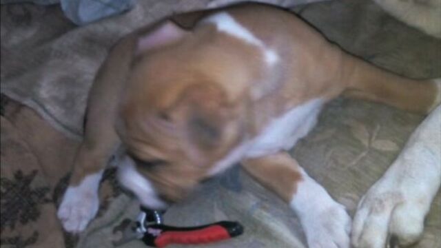 Видео порнуха #13185