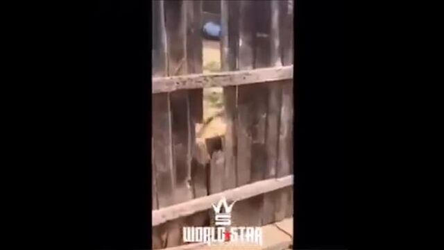 Видео порнуха #45686