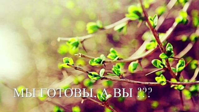 Видео порнуха #24265