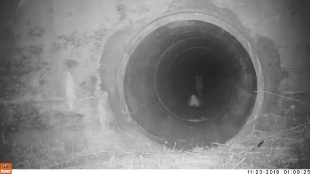 Видео порнуха #157343