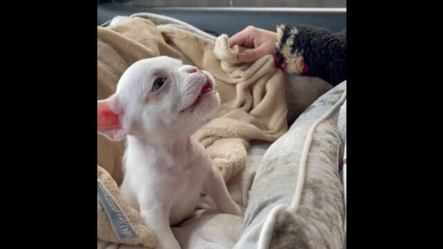 Видео порнуха #127207