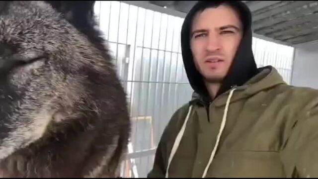 Видео порнуха #51160