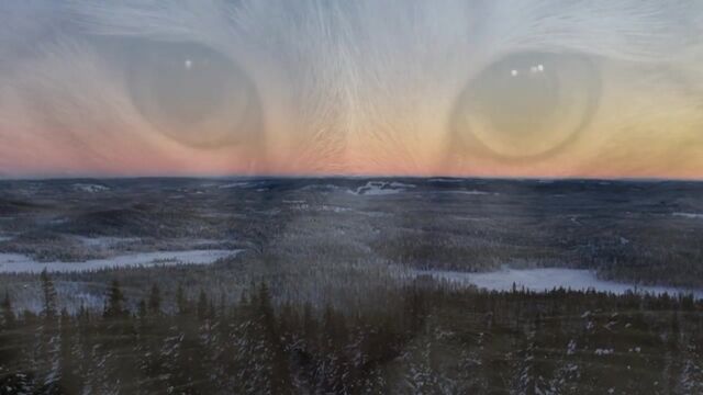 Видео порнуха #32803