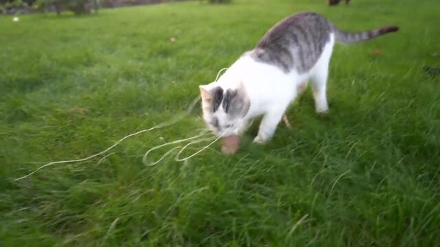 Видео порнуха #150214