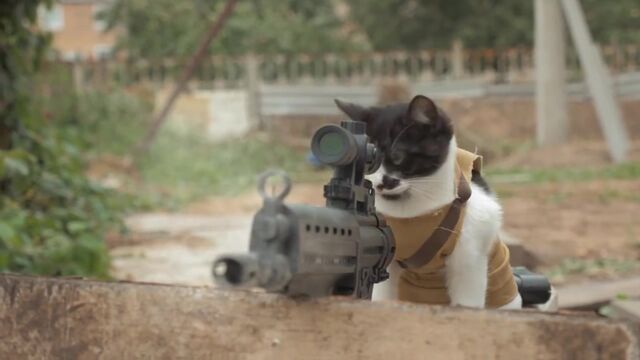 Видео порнуха #180532