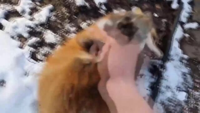 Видео порнуха #154378