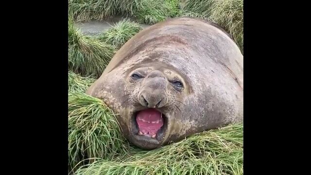 Видео порнуха #186646