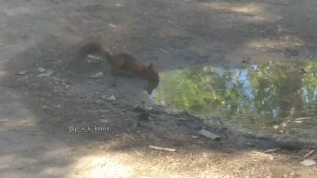 Видео порнуха #35261