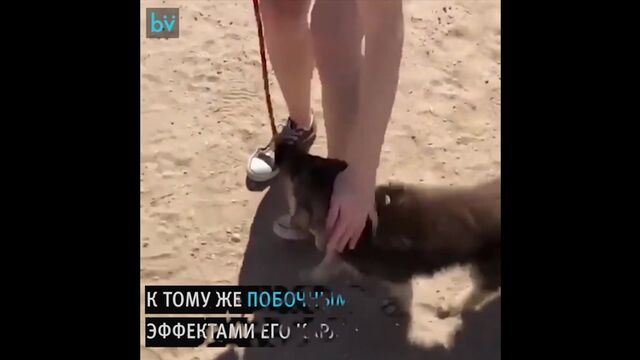 Видео порнуха #189142