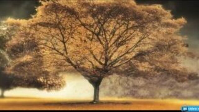 Видео порнуха #6593