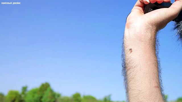 Видео порнуха #164848