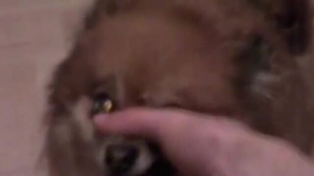 Видео порнуха #126642